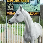 Premium Cracovia Arabians - Ojcowski Park Narodowy Pensión