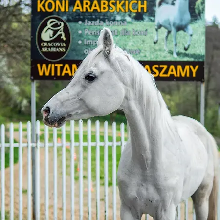Premium Cracovia Arabians - Ojcowski Park Narodowy بيت ضيافة